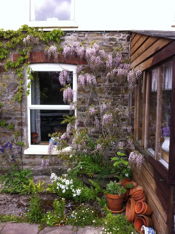 Vine Cottage Penpillick Exterior foto