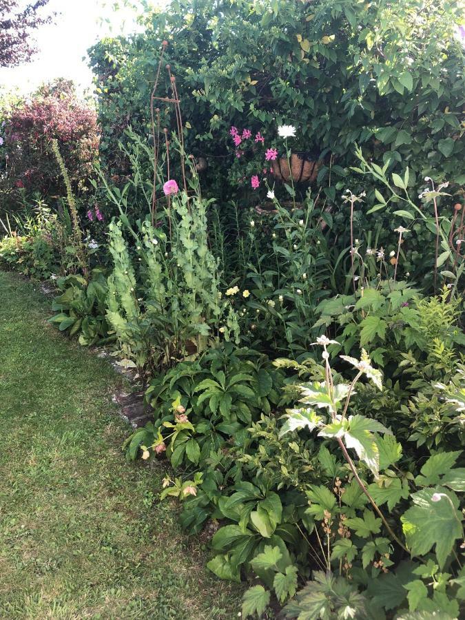 Vine Cottage Penpillick Exterior foto